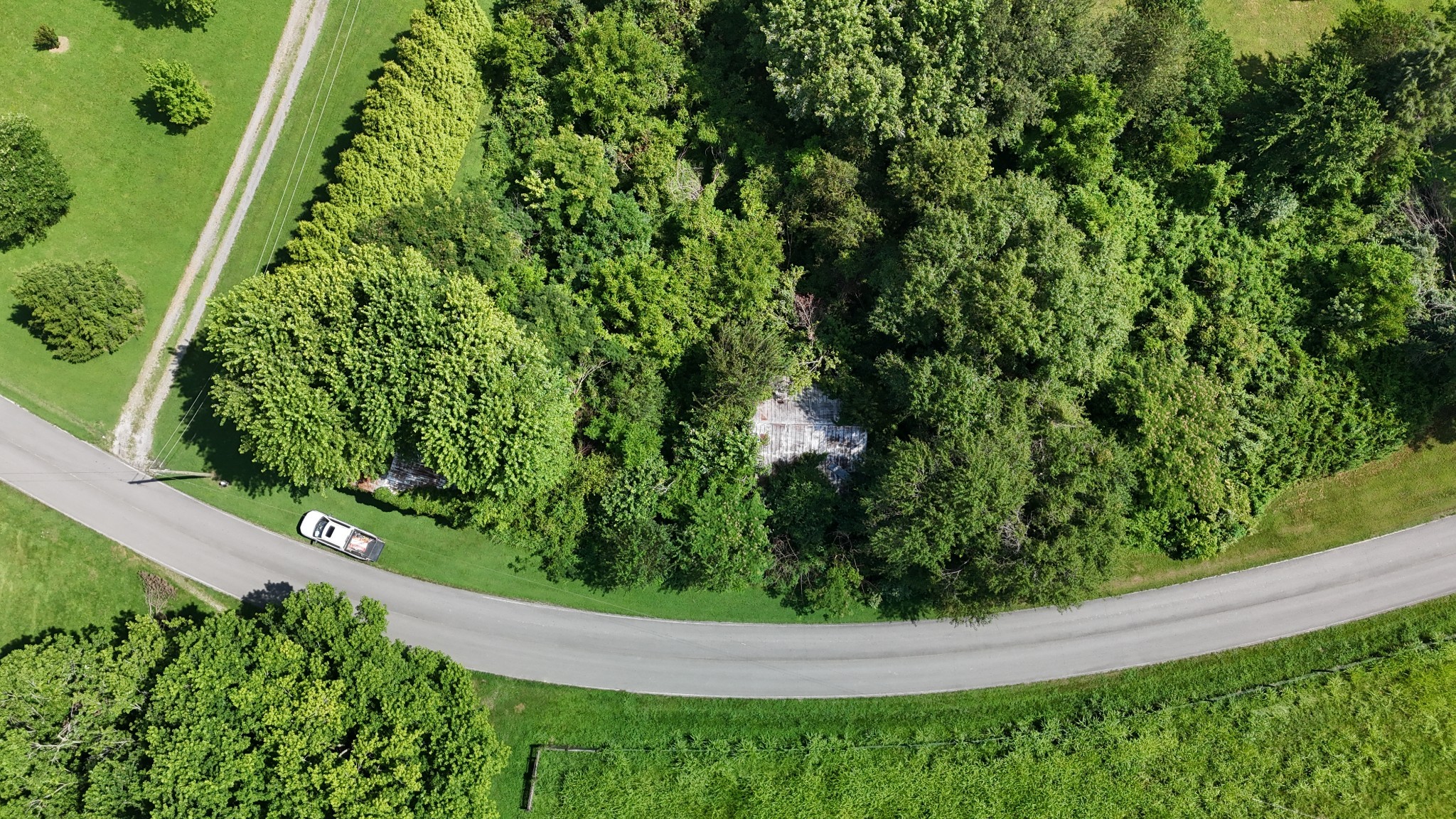 384 Underwood Road Lafayette, TN 37083 - Photo 8 of 8 a view of a garden