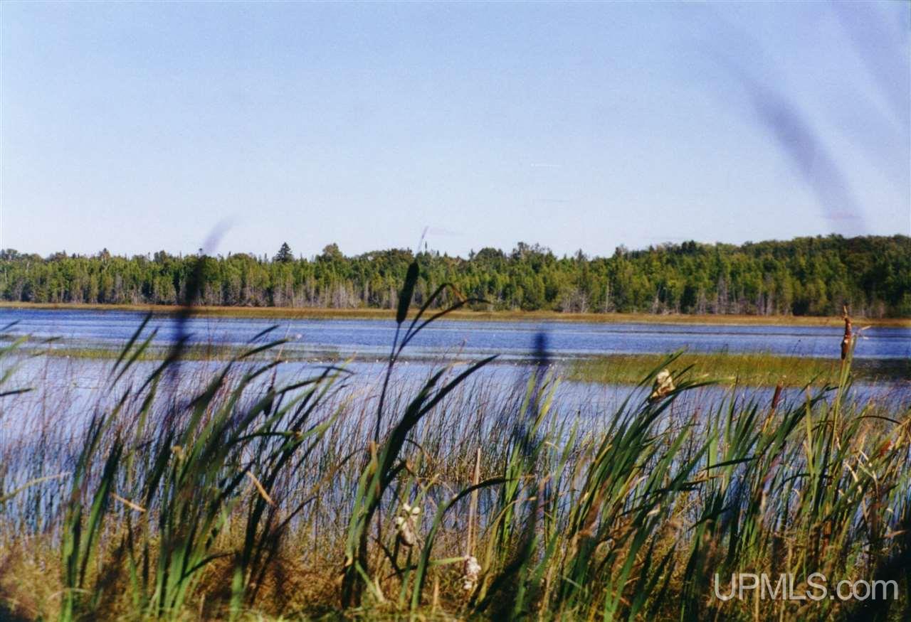 Tbd 240 Acres Off Belgium Road Manistique, MI 49854 - Photo 13 of 35