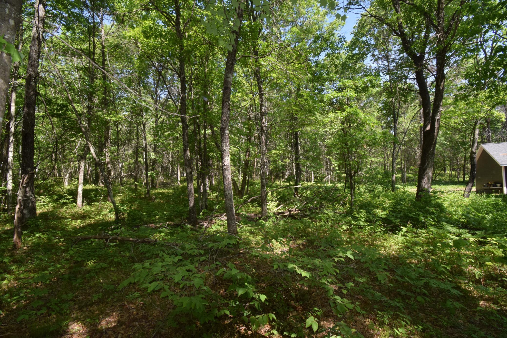 29093 Deerpath Pass Danbury, WI 54830 - Photo 49 of 94