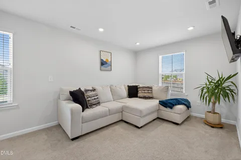 a living room with furniture and a potted plant