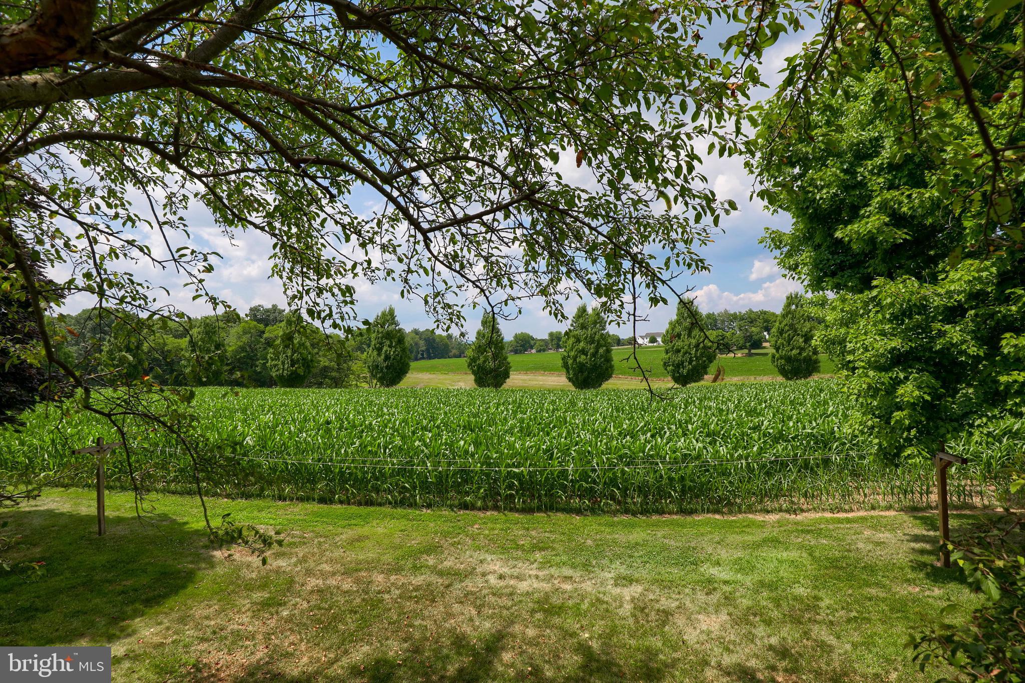 1126 Orchard Road Lititz, PA 17543 - Photo 45 of 46