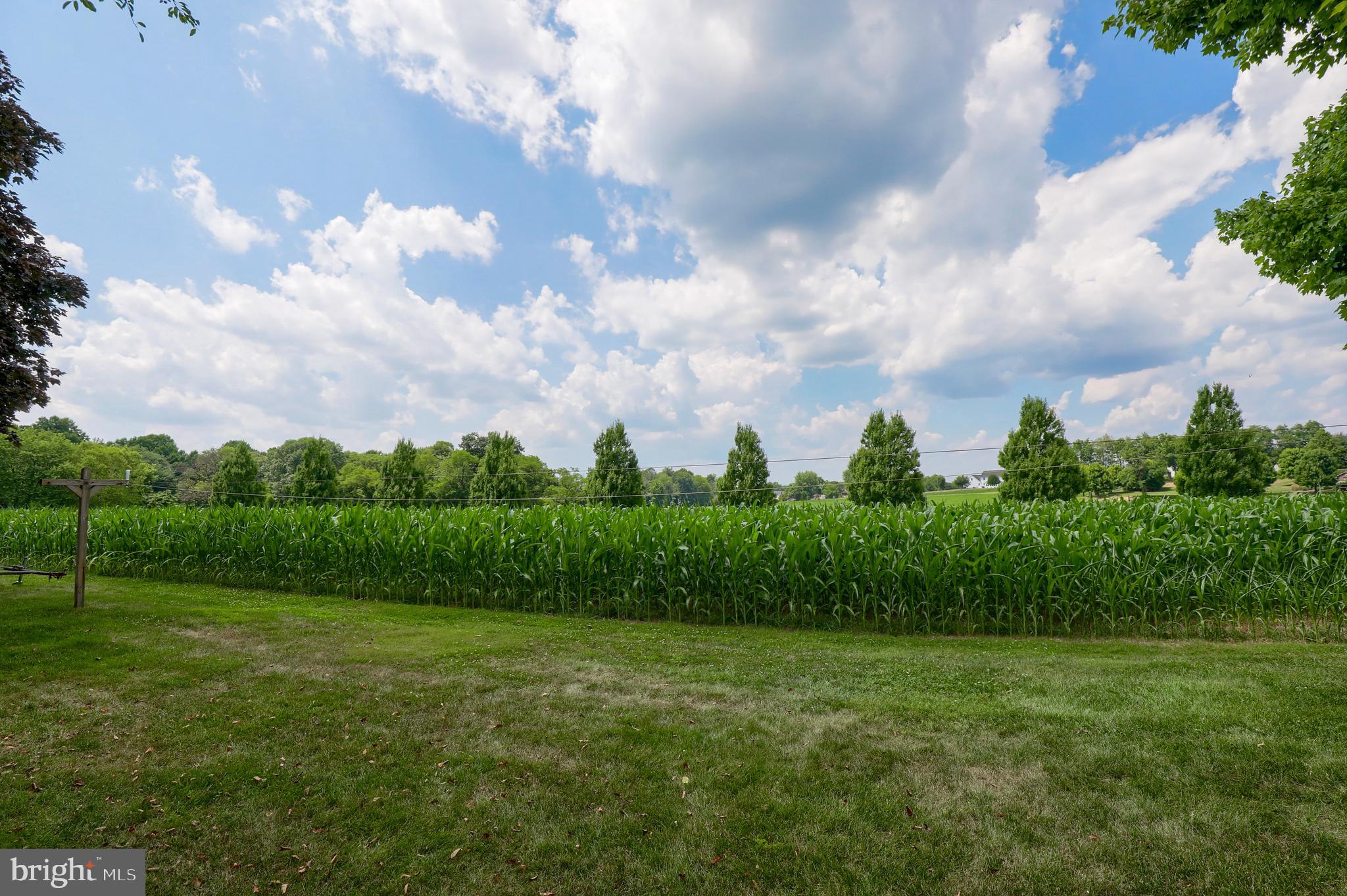 1126 Orchard Road Lititz, PA 17543 - Photo 46 of 46