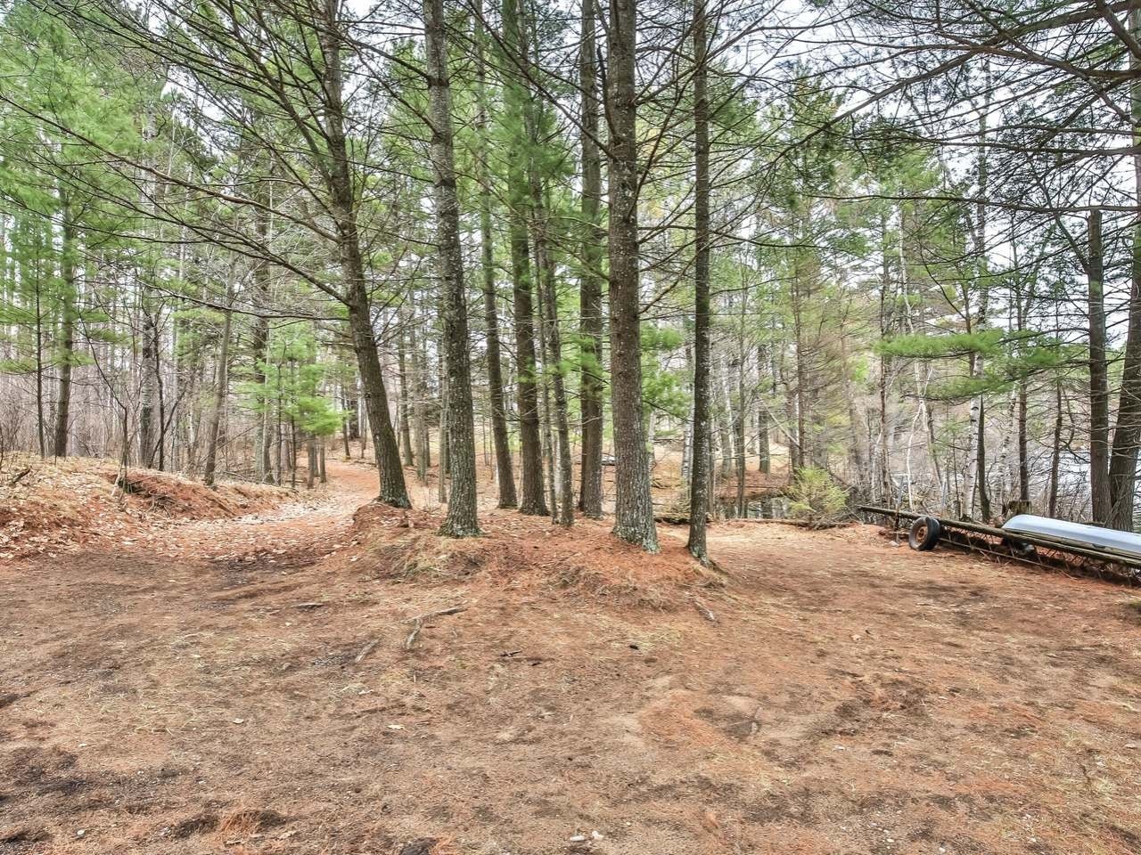 8733 Virgin Lake Road Tomahawk, WI 54487 - Photo 41 of 51 Gallery Image 41
