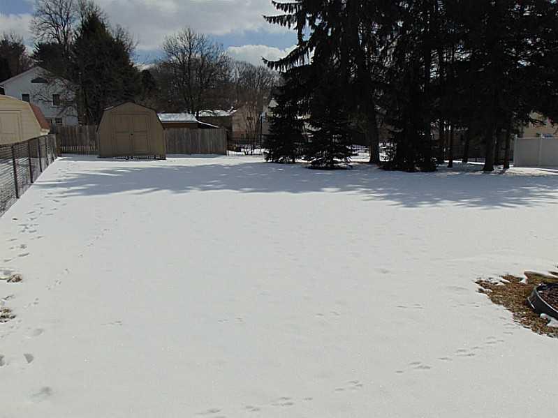308 Hemlock Road Level Green, PA 15085 - Photo 23 of 24 Yard/Garden.