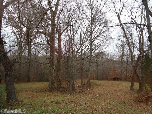 454 Fred Lanier Road Mocksville, NC 27028 - Photo 13 of 15 Land/Lot.