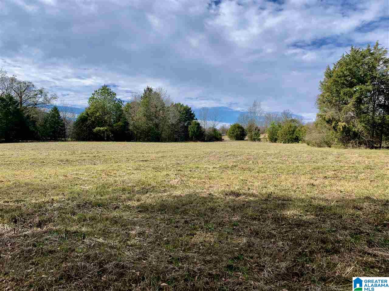 0 County Road 16 Calera, AL 35040 - Photo 4 of 22