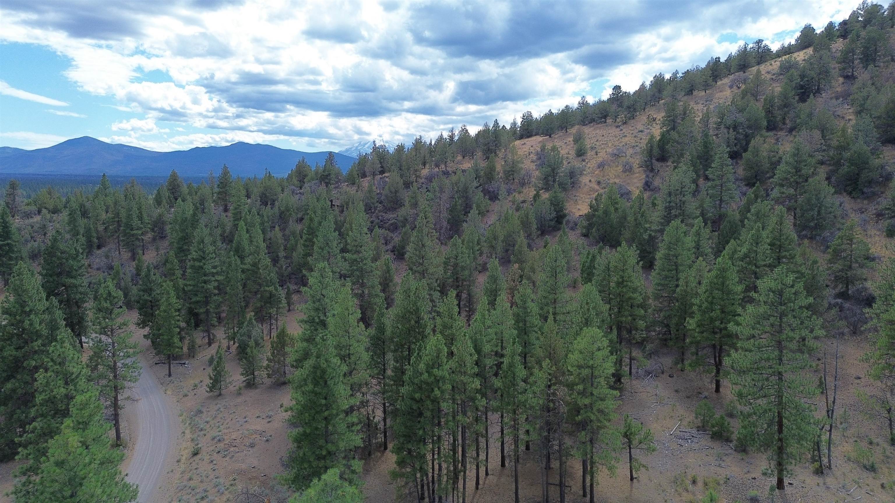 Robison Road Macdoel, CA 96058 - Photo 30 of 30 Gallery Image 30