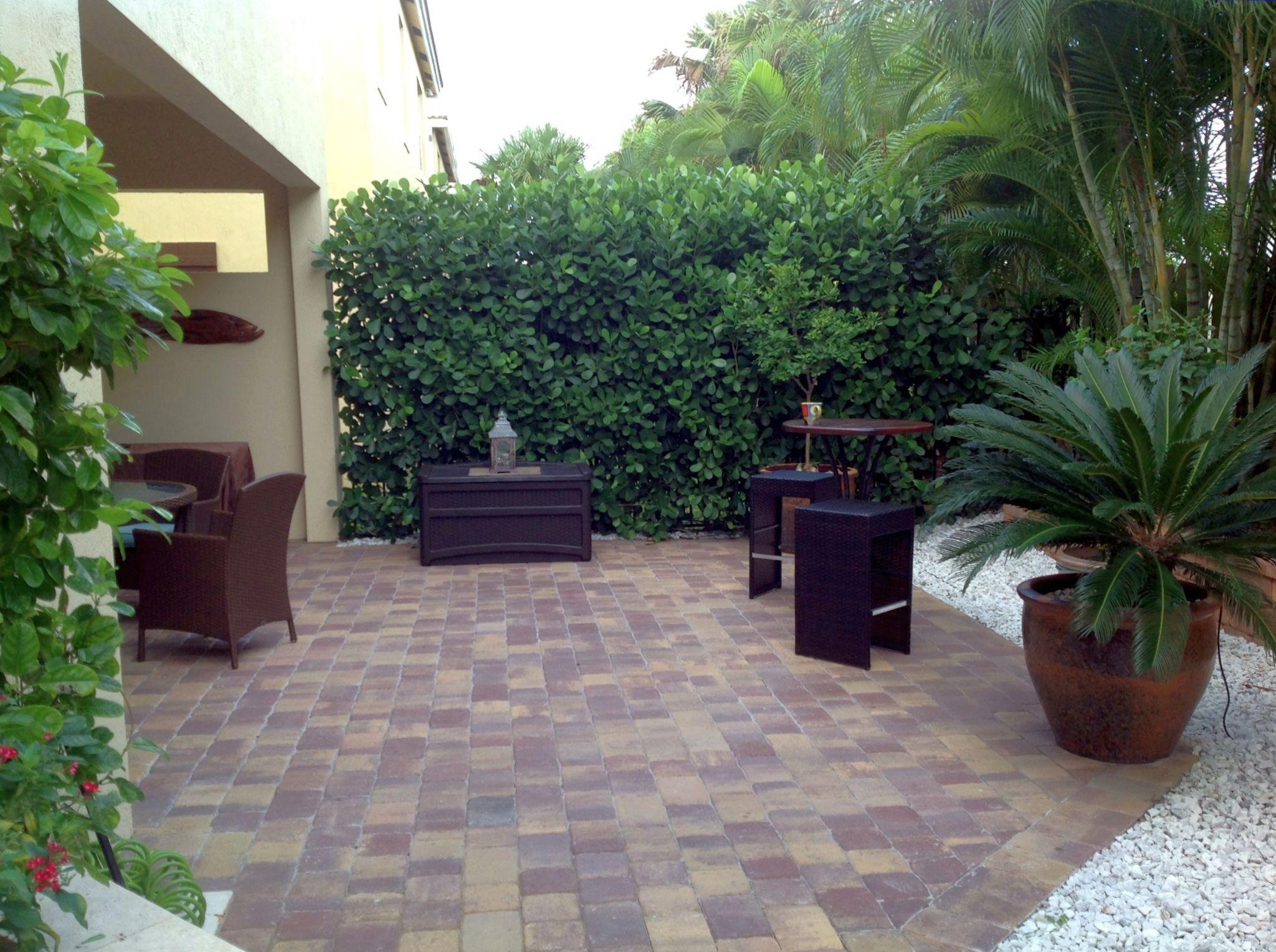 441 Francesca Ridge Road Boynton Beach, FL 33435 - Photo 8 of 31 xip Yard