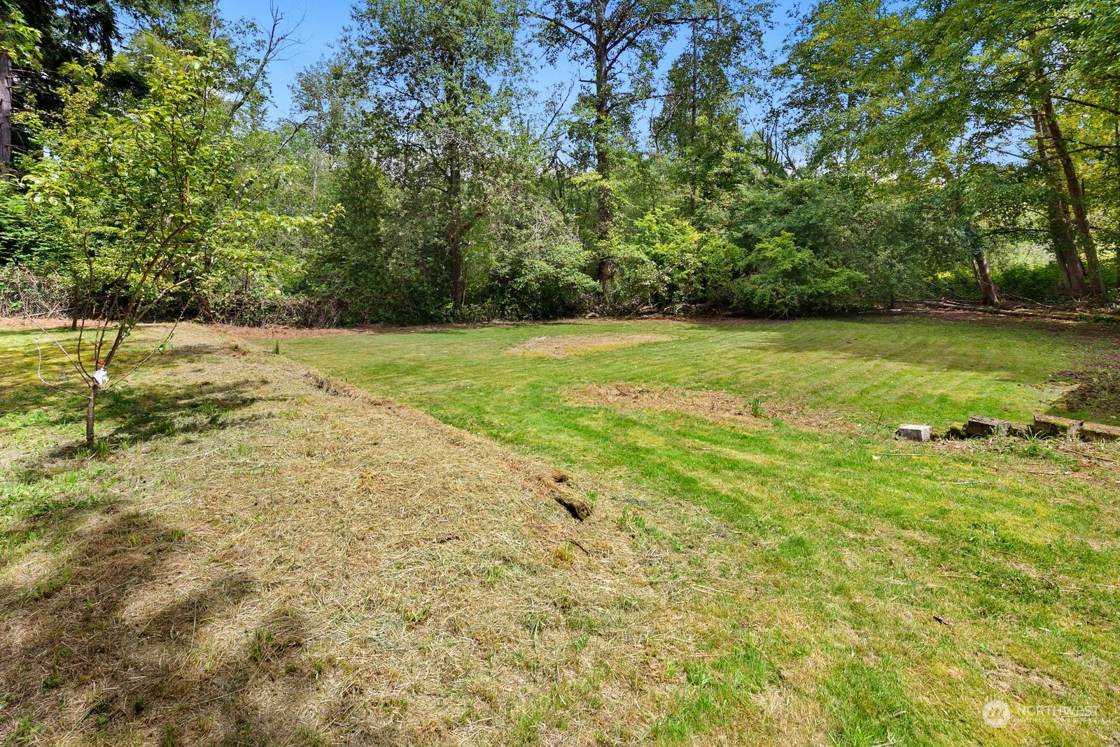23211 3rd Avenue Southeast Bothell, WA 98021 - Photo 34 of 40 a view of a yard with a tree