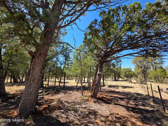 $50,000 | 3874 Durango Drive, Happy Jack, AZ 86024