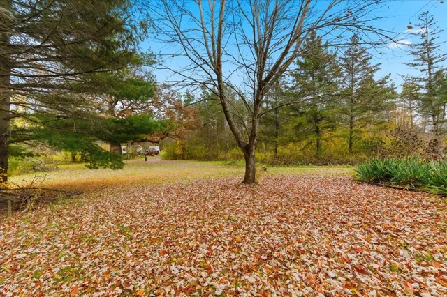 a view of dirt yard with a tree