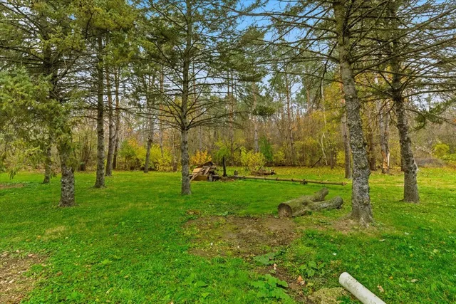 a view of yard with trees