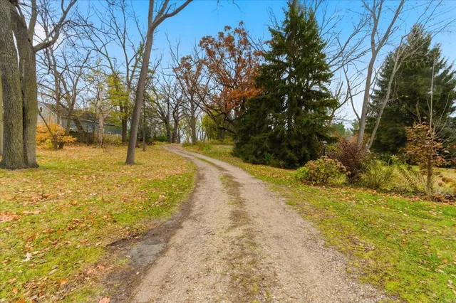 a view of yard with tree in back