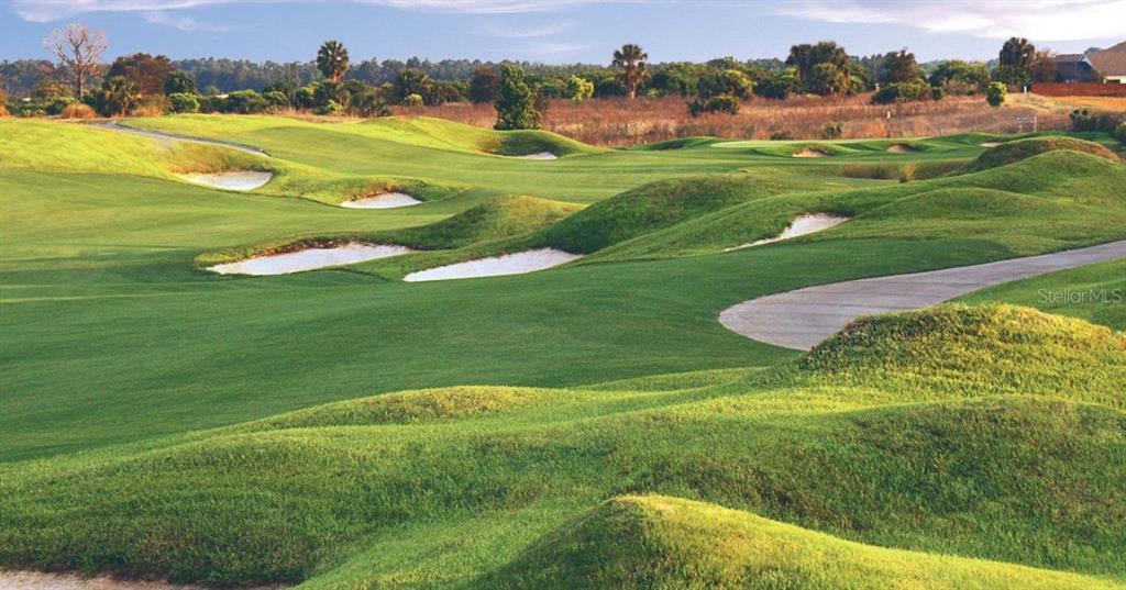8919 Stinger Drive Davenport, FL 33896 - Photo 33 of 39 a view of a grassy area with an ocean