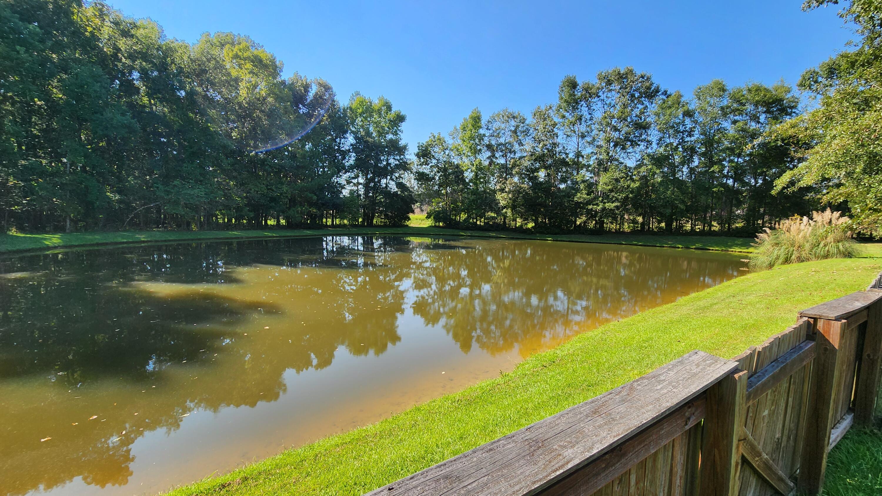 151 Old Tree Road Goose Creek, SC 29445 - Photo 20 of 23 20220922_155452