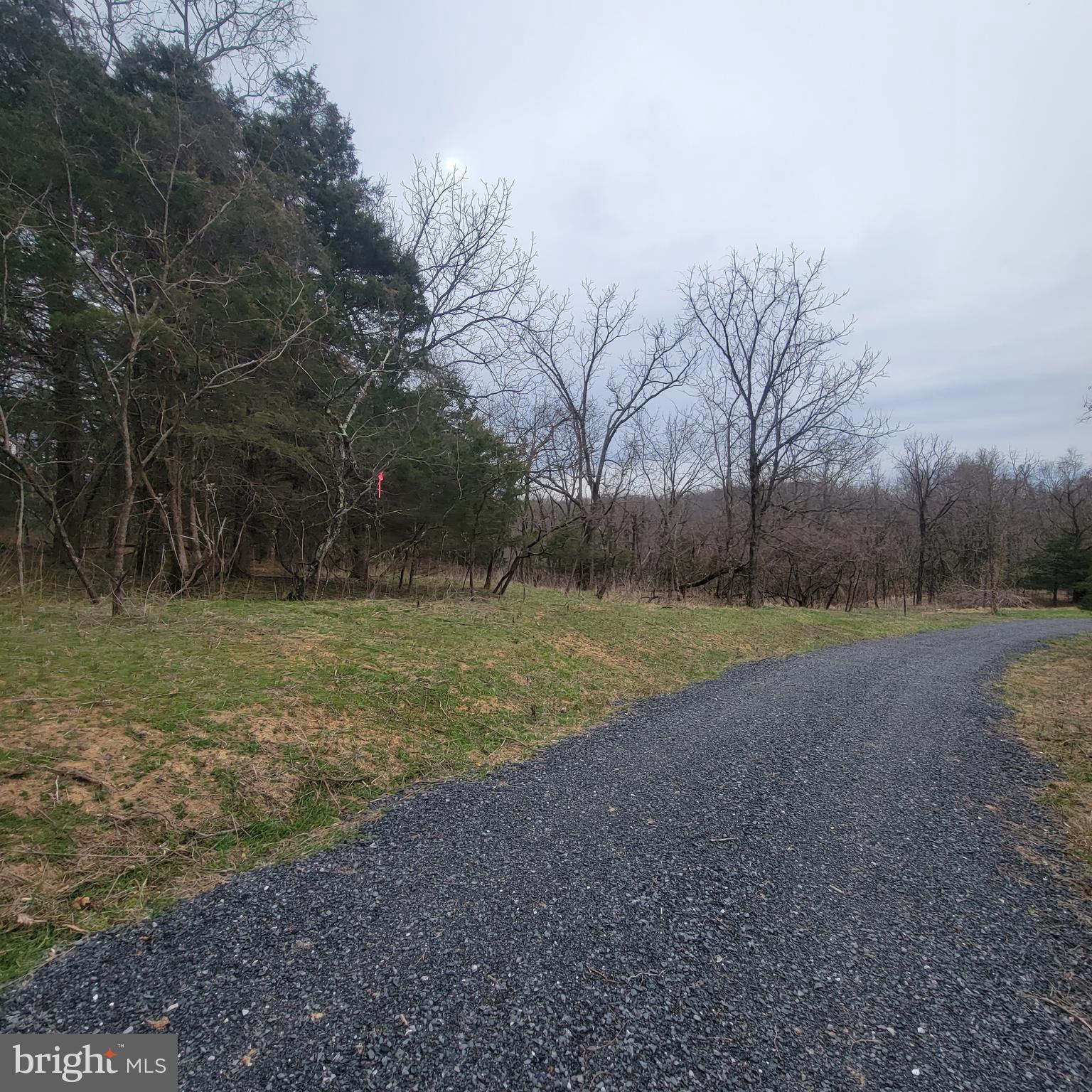 Figgins Road Front Royal, VA 22630 - Photo 13 of 14 Gallery Image 13