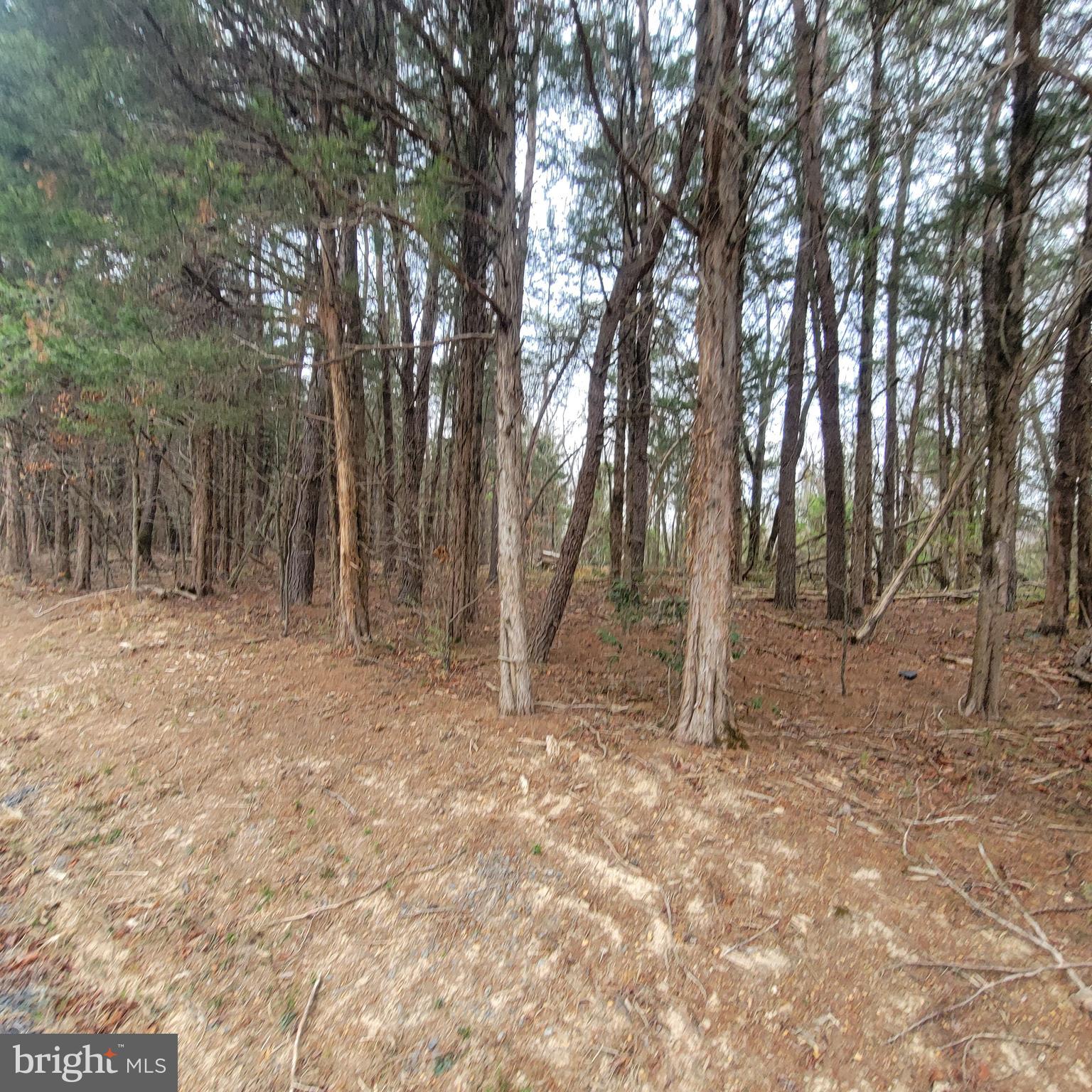 Figgins Road Front Royal, VA 22630 - Photo 14 of 14 Gallery Image 14