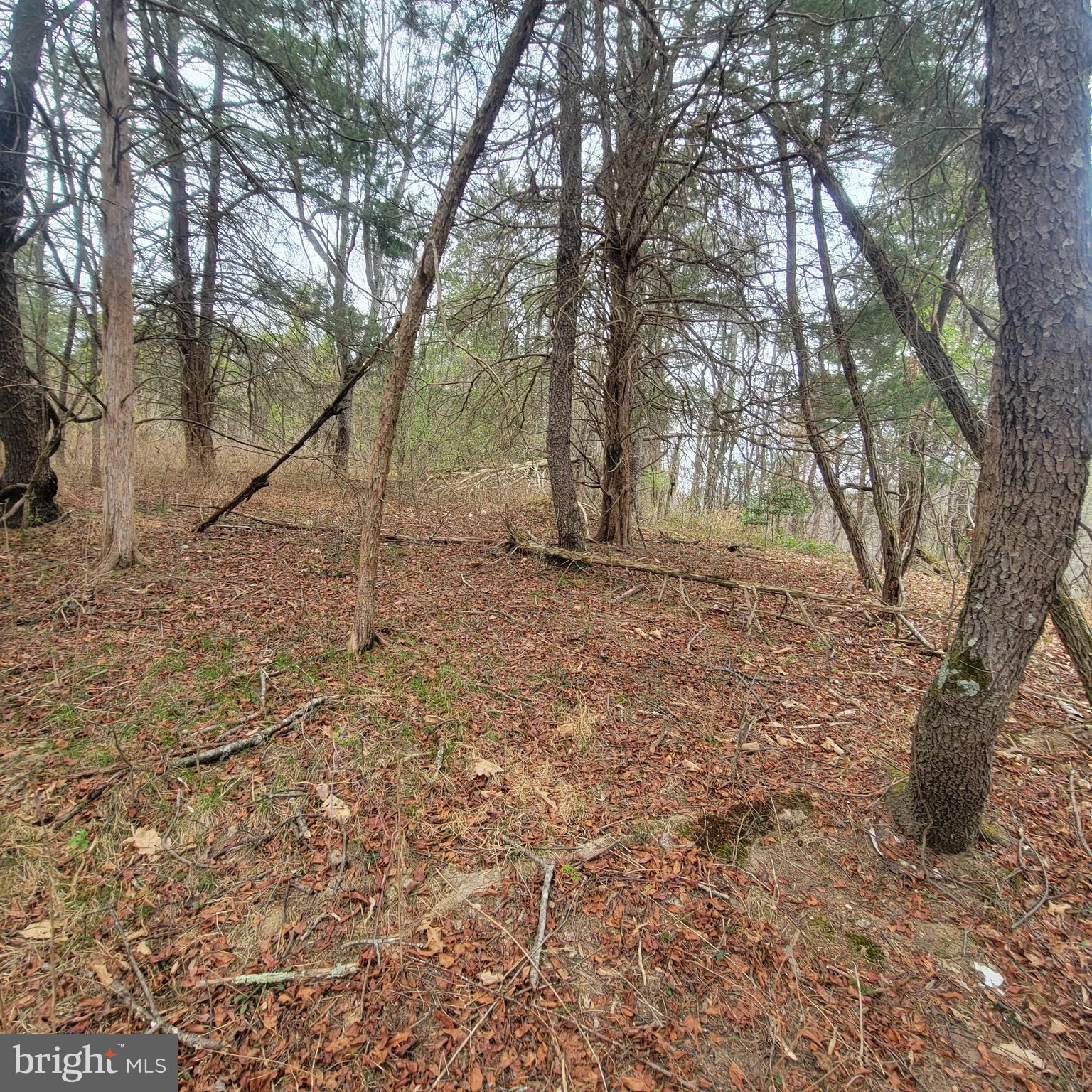 Figgins Road Front Royal, VA 22630 - Photo 10 of 14 Gallery Image 10