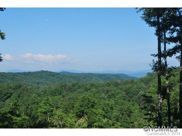 Tbd Tbd Brandy Ridge, Unit 5R Brevard, NC 28712 - Photo 1 of 20 Gallery Image 1