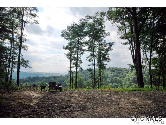 Tbd Tbd Brandy Ridge, Unit 5R Brevard, NC 28712 - Photo 2 of 20 Gallery Image 2