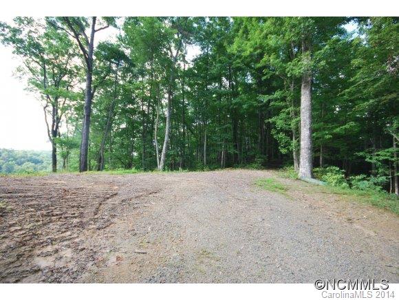 Tbd Tbd Brandy Ridge, Unit 5R Brevard, NC 28712 - Photo 11 of 20 Gallery Image 11