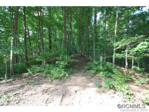 Tbd Tbd Brandy Ridge, Unit 5R Brevard, NC 28712 - Photo 14 of 20 Gallery Image 14