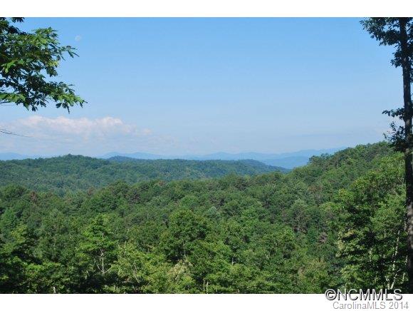 Tbd Tbd Brandy Ridge, Unit 5R Brevard, NC 28712 - Photo 15 of 20 Gallery Image 15