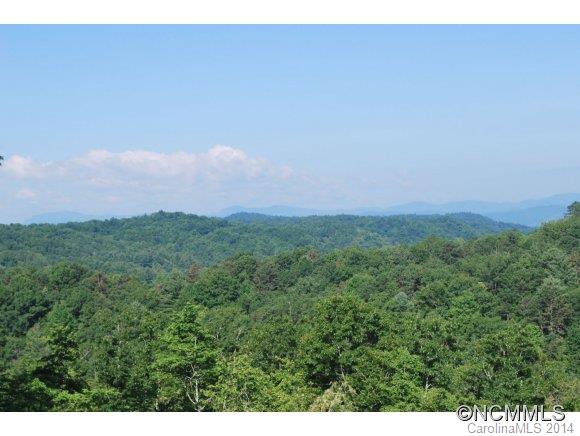 Tbd Tbd Brandy Ridge, Unit 5R Brevard, NC 28712 - Photo 17 of 20 Gallery Image 17
