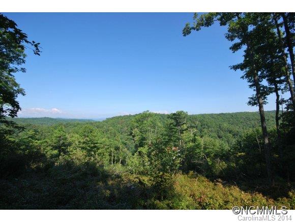 Tbd Tbd Brandy Ridge, Unit 5R Brevard, NC 28712 - Photo 18 of 20 Gallery Image 18