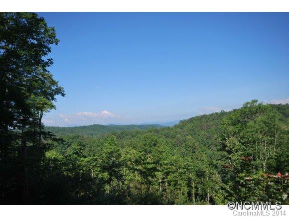 Tbd Tbd Brandy Ridge, Unit 5R Brevard, NC 28712 - Photo 19 of 20 Gallery Image 19