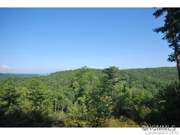 Tbd Tbd Brandy Ridge, Unit 5R Brevard, NC 28712 - Photo 20 of 20 Gallery Image 20
