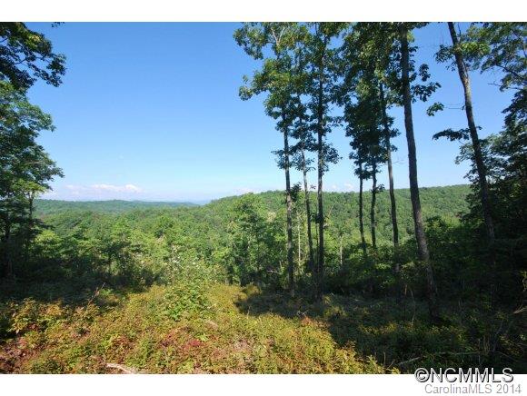 Tbd Tbd Brandy Ridge, Unit 5R Brevard, NC 28712 - Photo 3 of 20 Gallery Image 3
