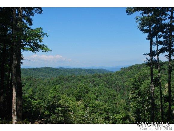 Tbd Tbd Brandy Ridge, Unit 5R Brevard, NC 28712 - Photo 5 of 20 Gallery Image 5