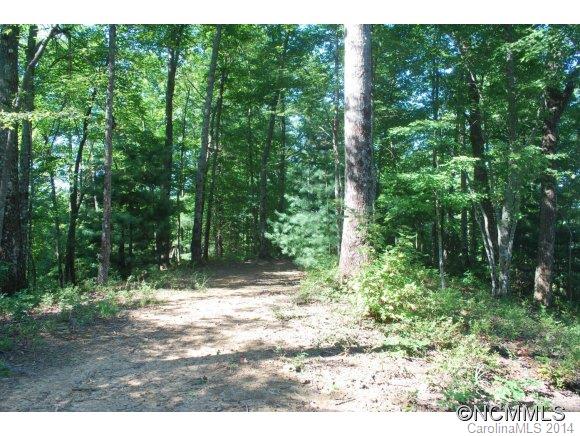 Tbd Tbd Brandy Ridge, Unit 5R Brevard, NC 28712 - Photo 6 of 20 Gallery Image 6