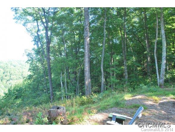 Tbd Tbd Brandy Ridge, Unit 5R Brevard, NC 28712 - Photo 7 of 20 Gallery Image 7