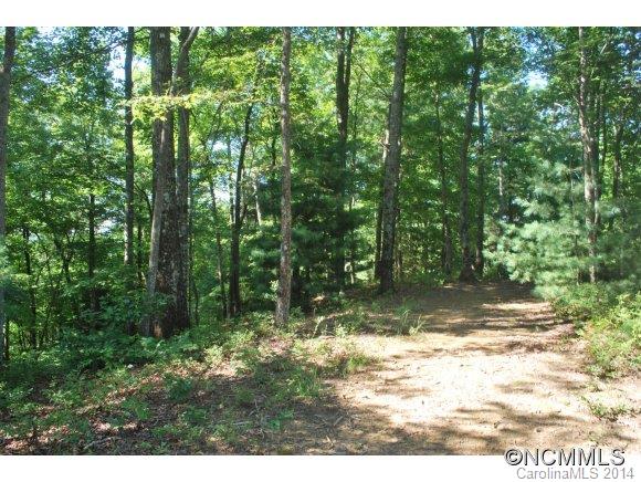 Tbd Tbd Brandy Ridge, Unit 5R Brevard, NC 28712 - Photo 8 of 20 Gallery Image 8