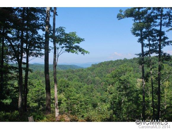 Tbd Tbd Brandy Ridge, Unit 5R Brevard, NC 28712 - Photo 9 of 20 Gallery Image 9