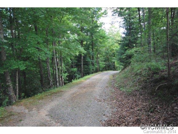 Tbd Tbd Brandy Ridge, Unit 5R Brevard, NC 28712 - Photo 10 of 20 Gallery Image 10