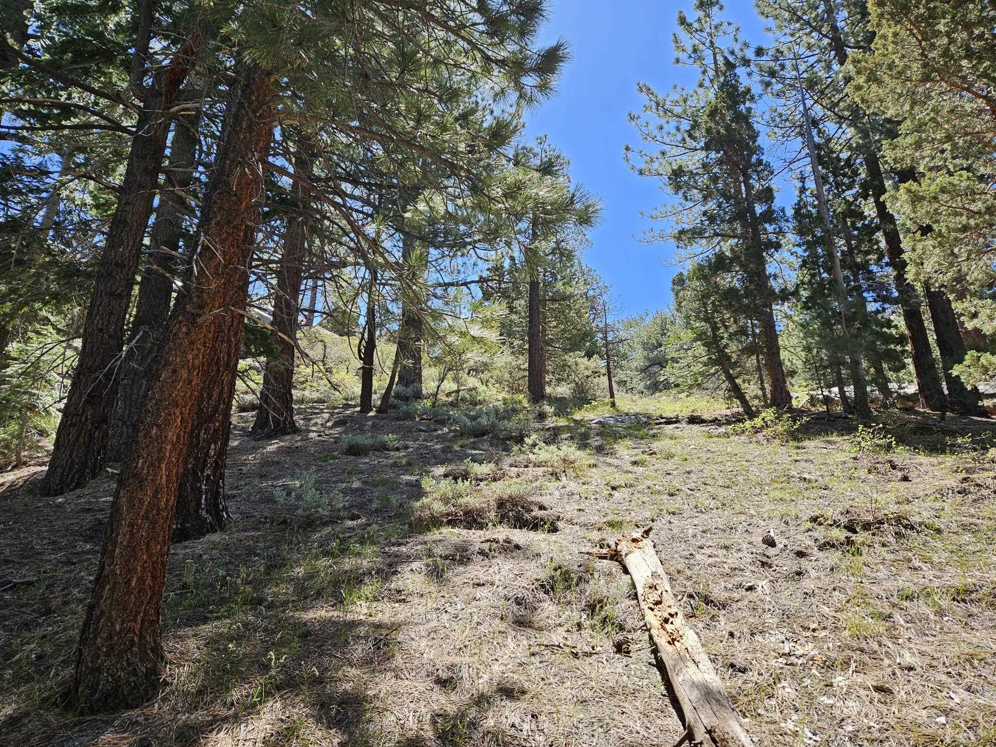 Lot 23 Aspen Road June Lake, CA 93529 - Photo 2 of 10 a view of outdoor space with trees