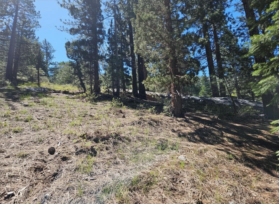 Lot 23 Aspen Road June Lake, CA 93529 - Photo 7 of 10 a fire hydrant in the middle of a field