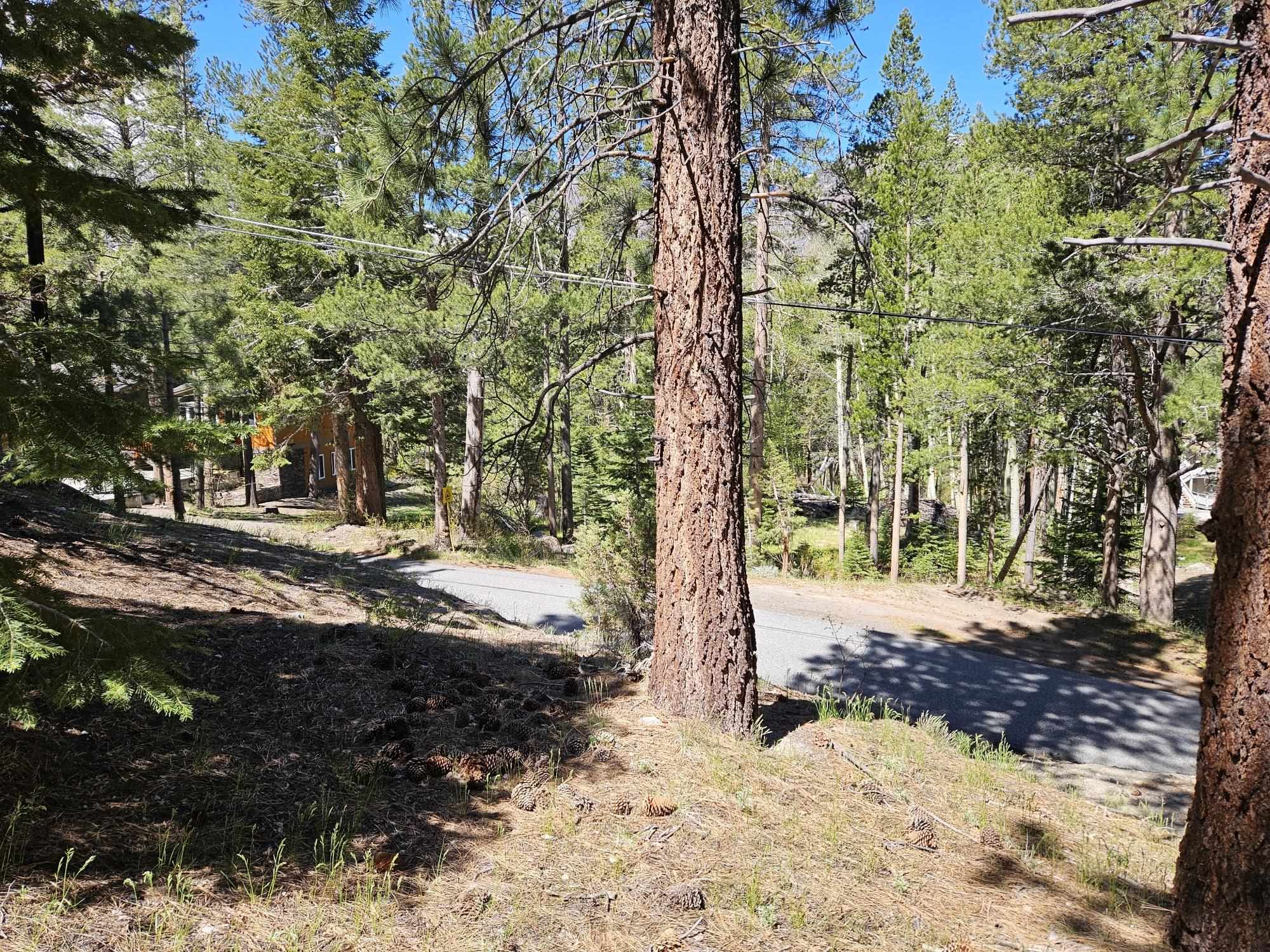 Lot 23 Aspen Road June Lake, CA 93529 - Photo 8 of 10 a view of a yard with large trees