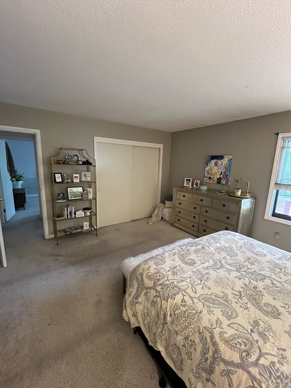 61 Jamestown Drive, Unit 61 Springfield, MA 01108 - Photo 8 of 10