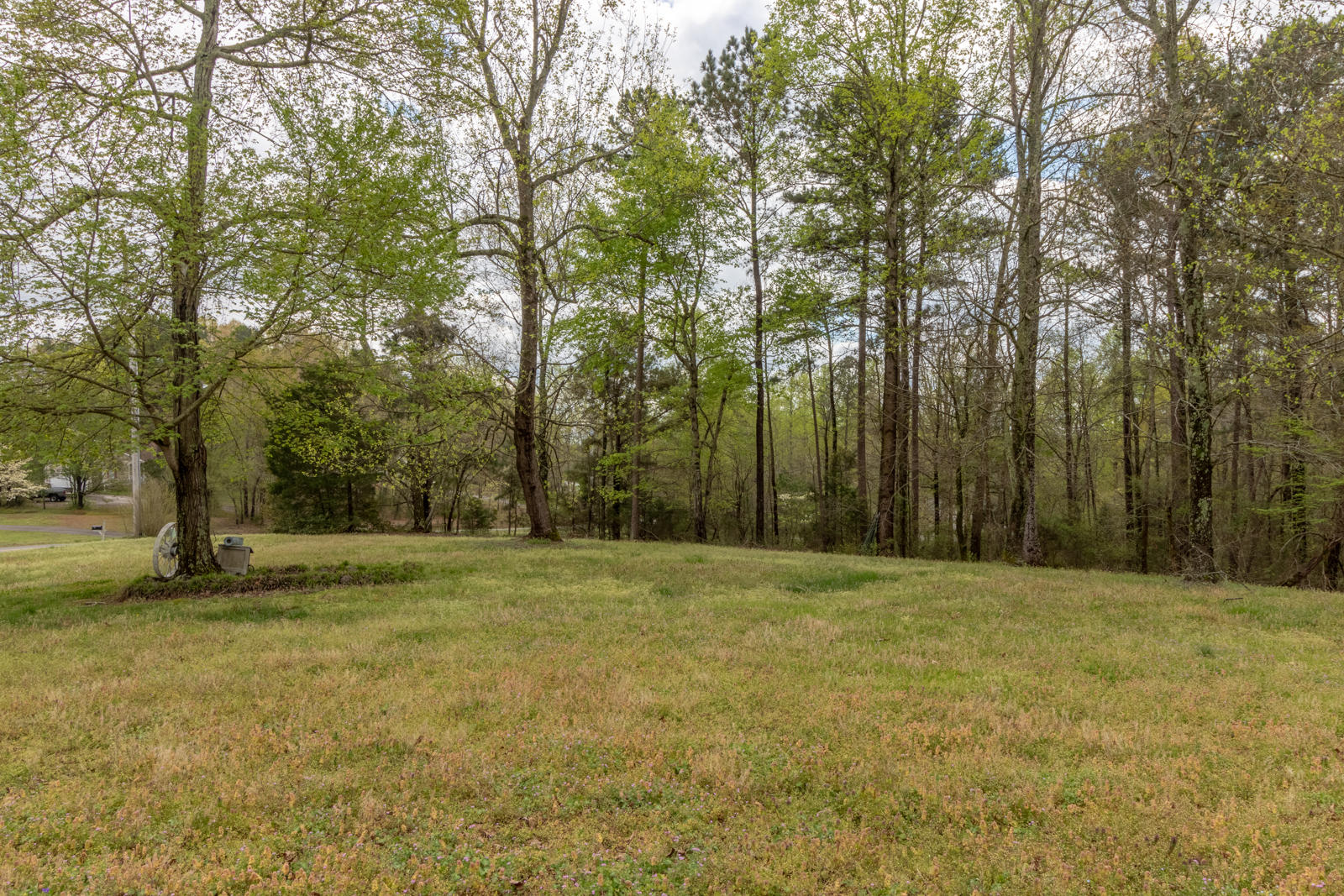 261 Carter Stealey Road Chatsworth, GA 30705 - Photo 4 of 24 261 Carter Stealey Road-4