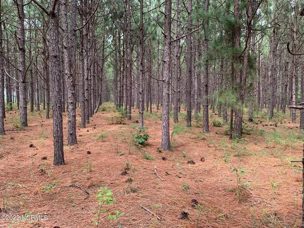 $1,680,000 | 5188 Lobelia Road, Vass, NC 28394