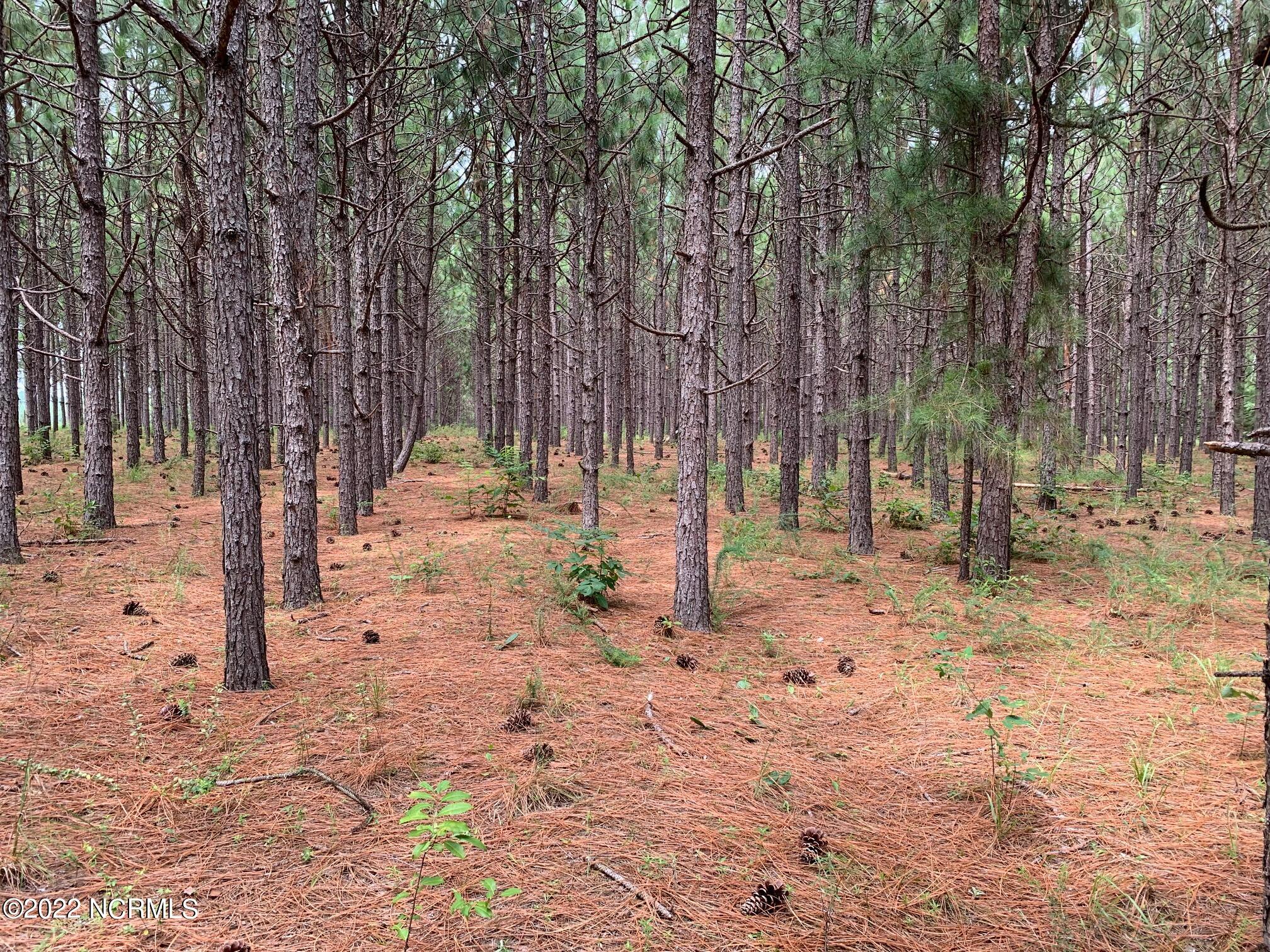 5188 Lobelia Road Vass, NC 28394 - Photo 2 of 3 Pine Needles