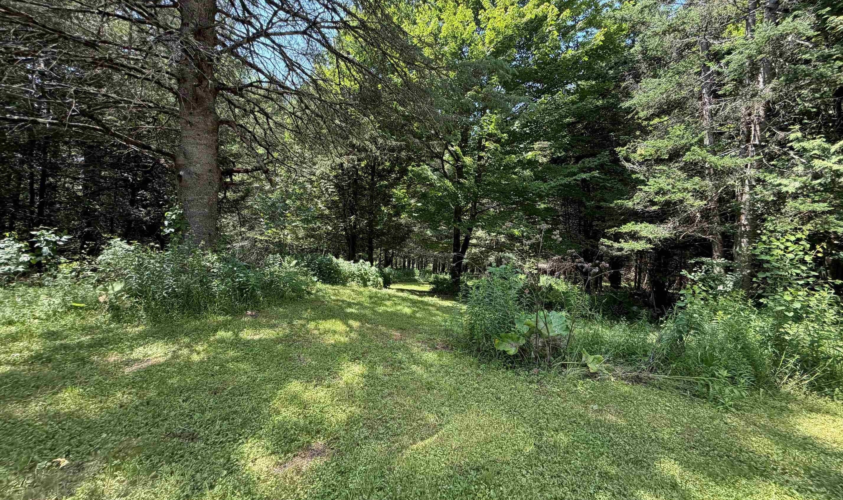 1090 Center Road, Unit LOT #3 Albany, VT 05845 - Photo 7 of 9