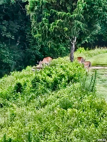 $600,000 | 5504 Marion Road, Metropolis, IL 62960