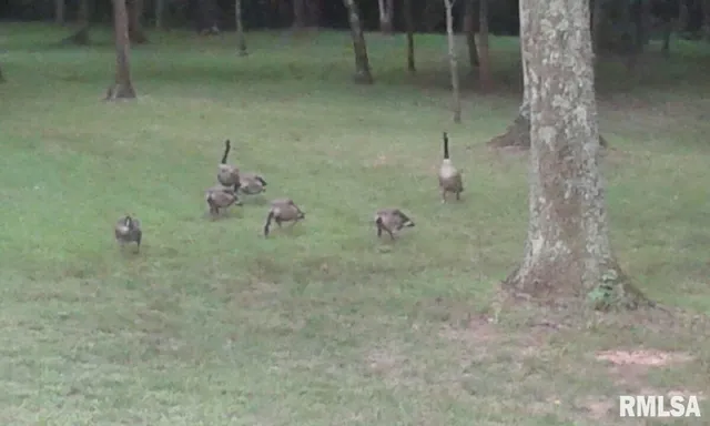 $600,000 | 5504 Marion Road, Metropolis, IL 62960