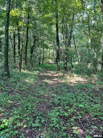 $600,000 | 5504 Marion Road, Metropolis, IL 62960