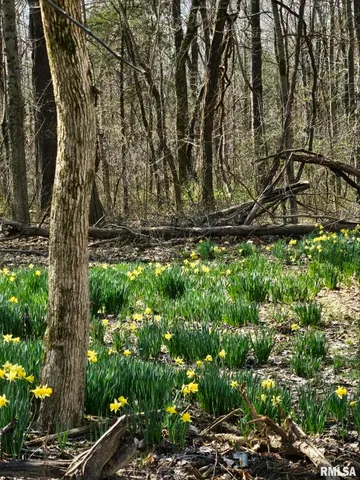 $600,000 | 5504 Marion Road, Metropolis, IL 62960